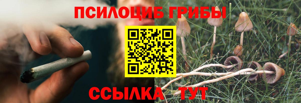 Псилоцибиновые грибы ЛСД  Вход с VPN  магазин продажи   Родники 