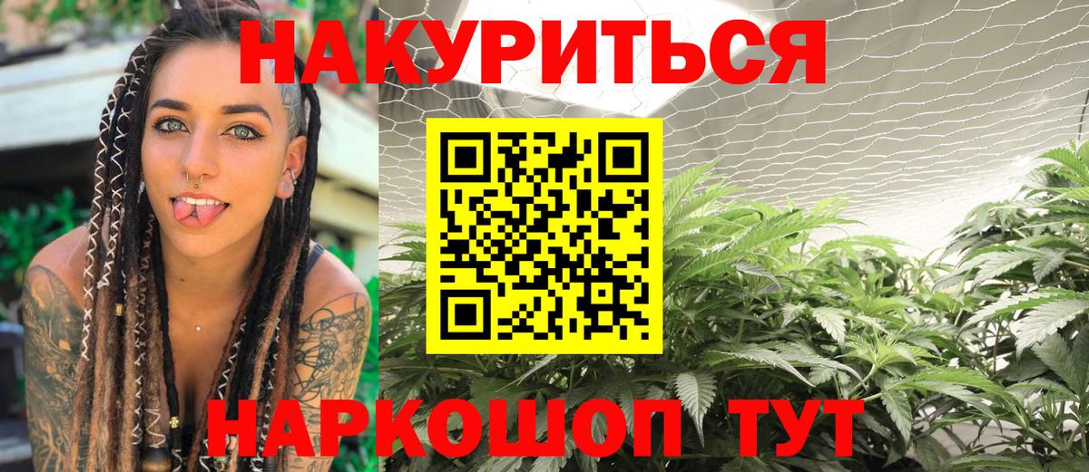Канабис сатива Родники